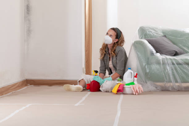Reliable Mold Removal contractor in Concord, MA by WQB Mold Removal